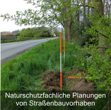 Naturschutzfachliche Planungen von Straßenbauvorhaben