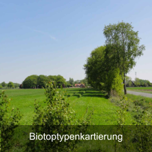 Biotoptypenkartierung