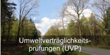 Umweltverträglichkeitsprüfungen (UVP)