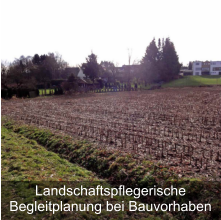Landschaftspflegerische Begleitplanung bei Bauvorhaben
